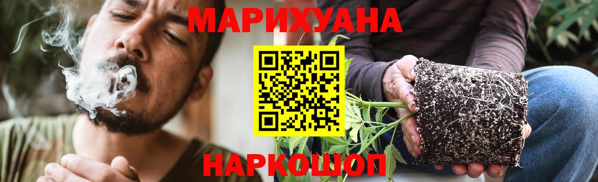Бошки марихуана гибрид  Конопля MAZAR  Дедовск  Вход с VPN 